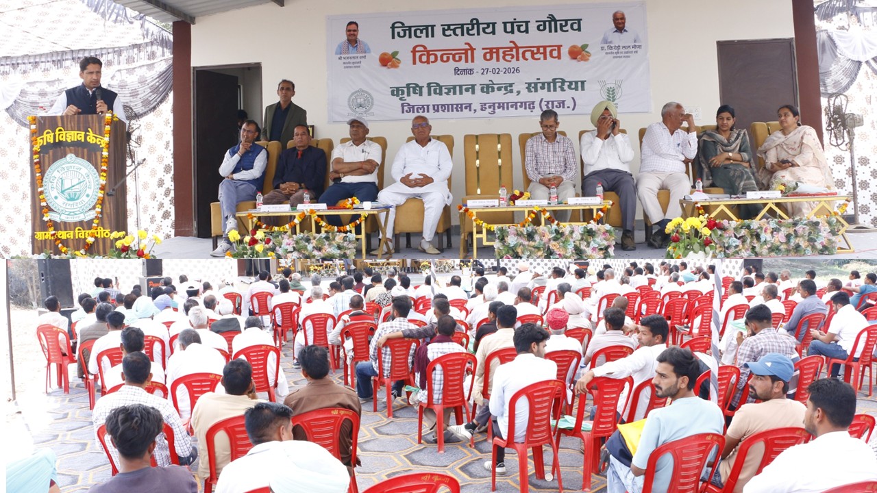 पंच गौरव कार्यक्रम के तहत संगरिया में किन्नौ महोत्सव का भव्य आयोजन, 550 किसानों ने की सहभागिता