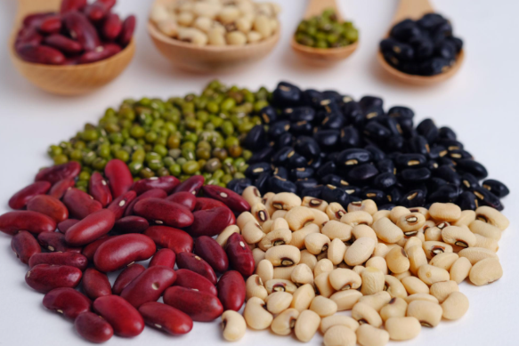 बीन्स खाने से बढ़ सकती है उम्र: कोलेस्ट्रॉल कम करने में मददगार, दिल को रखे स्वस्थ